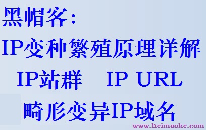 IP变种繁殖站群原理详解之IP站群、IP URL、畸形变异IP域名